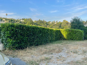 Photo de galerie - Entretien de jardin