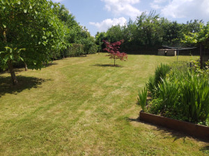 Photo de galerie - Tonte de. l'année 
