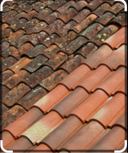 Photo de galerie - Traitement Toiture 