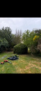 Photo de galerie - Taille buisson
