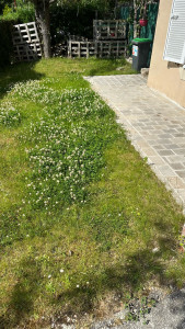 Photo de galerie - Tonte de pelouse - Débroussaillage