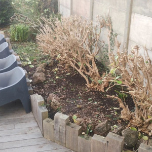 Photo de galerie - Jardinier