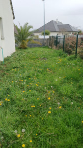 Photo de galerie - Tonte la pelouse  