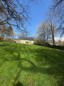 Photo de galerie - Tonte de pelouse 