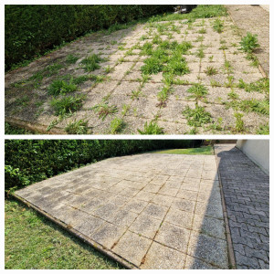 Photo de galerie - Jardinier