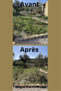 Photo de galerie - Tonte 