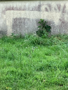 Photo de galerie - Paysagiste - Aménagement du jardin