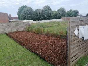 Photo de galerie - Pose de papier, et écorces, avec bordures pour réduction de terrain.
Fait seule. 