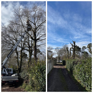 Photo de galerie - Intervention avec nacelle 