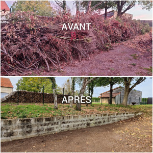 Photo de galerie - Évacuation de 100m3 de branche