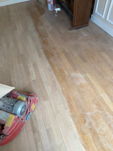 Photo de galerie - Un début prometteur.