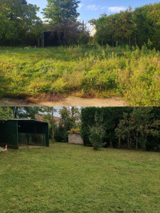 Photo de galerie - Débroussaillage de 1500m2 ( merci sthil ).