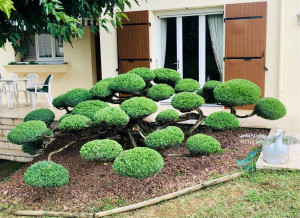 Photo de galerie - Paysagiste - Aménagement du jardin