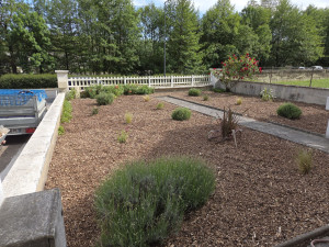 Photo de galerie - Aménagement massifs mise en place de copeaux 