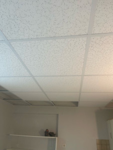 Photo de galerie - Faux plafond 