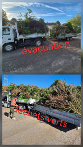 Photo de galerie - Abattage thuyas + déchets vert 