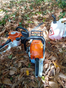 Photo de galerie - élagage 
taille de haie 