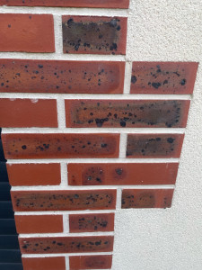 Photo de galerie - Pose et joint de briquette 