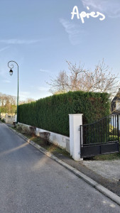 Photo de galerie - Teiller des arbustes.