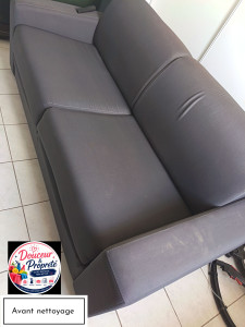 Photo de galerie - Avant nettoyage canapé 