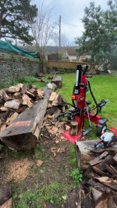 Photo de galerie - Elagage et coupe d'arbres