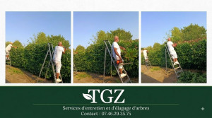Photo de galerie - ✂️ Taille de haies et entretien d'espaces verts avec TGZ ! ✂️
Notre équipe est en plein travail pour redonner une belle forme à vos haies et assurer un rendu impeccable.
✅ Taille soignée et précise
Équipe équipée et professionnelle
Nettoyage et évacuation