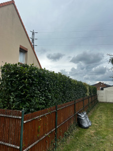Photo de galerie - Taille haie a la demande du client 