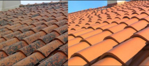 Photo de galerie - Nettoyage de toiture