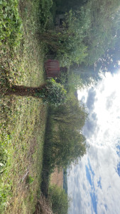 Photo de galerie - Photo après nettoyage dune première partie 