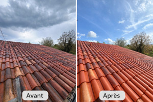 Photo de galerie - Nettoyage et démoussage sur toiture chez une cliente 