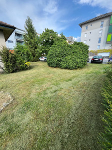 Photo de galerie - Tonte + Débroussaillage avant vente de la propriété 