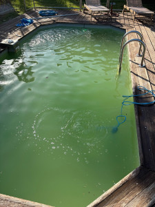 Photo de galerie - Remise à niveau d’une piscine liner