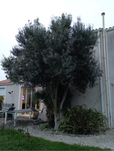 Photo de galerie - Avant