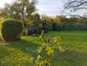 Photo de galerie - Jardinnage