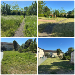 Photo de galerie - Remise au propre (herbe de champs 1m de haut) 8000m2