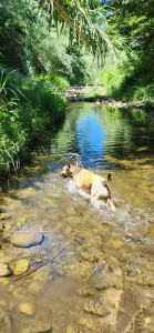 Photo de galerie - Sanji le puissant