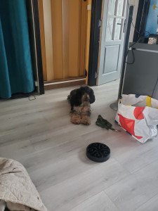 Photo de galerie - Maurice