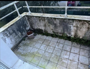 Photo de galerie - Plâtrerie - Murs - Plafonds