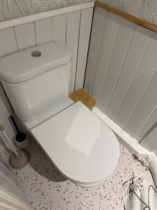 Photo de galerie - Changement d’un toilettes standard (avant)