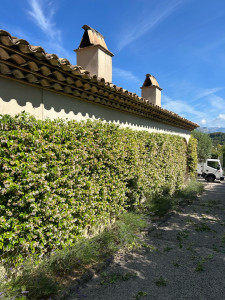 Photo de galerie - Jardinier