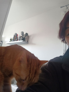 Photo de galerie - Donner à manger et changer la litiere et l'eau 