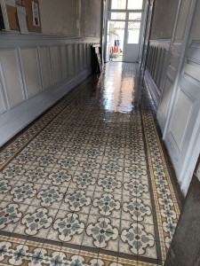 Photo de galerie - Nettoyage halls d'entrée 