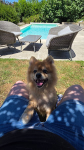 Photo de galerie - Kenzo, visite au domicile de ses propriétaires 