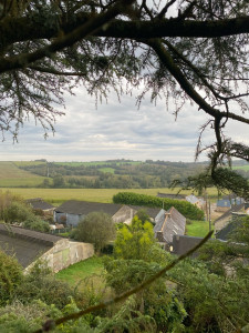 Photo de galerie - Elagage et coupe d'arbres