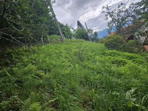 Photo de galerie - Tonte de pelouse - Débroussaillage