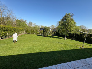 Photo de galerie - Tonte de pelouse 