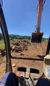 Photo de galerie - Tonte de pelouse - Débroussaillage