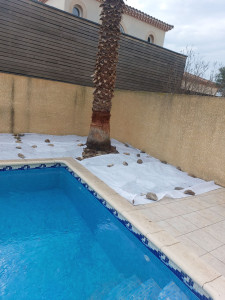 Photo de galerie - Paysagiste - Aménagement du jardin