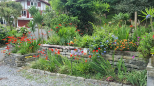 Photo de galerie - Paysagiste - Aménagement du jardin