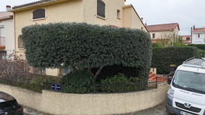 Photo de galerie - Jardinier